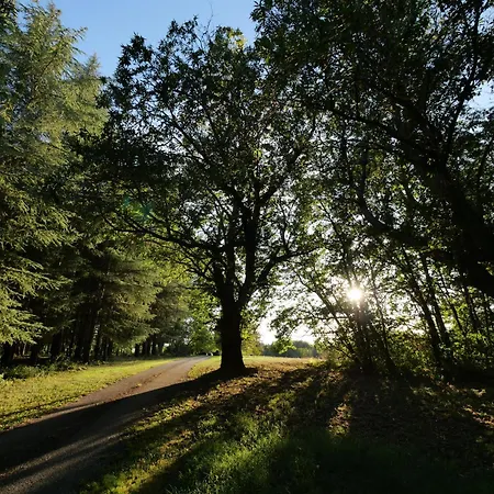 Prázdninový dům Les Gites Du Bouillatou - Le Figuier